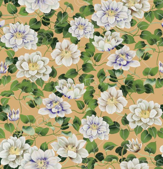 年轻女性印花华亿平台图片