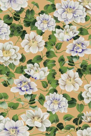 年轻女性印花华亿平台图片