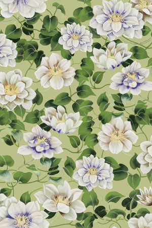 年轻女性印花华亿平台图片