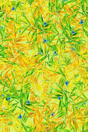 大牌风印花华亿平台图片