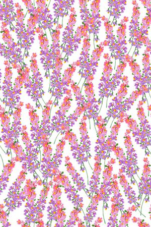 女装印花华亿平台图片