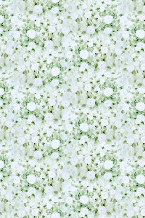 蜜蜂印花华亿平台图片