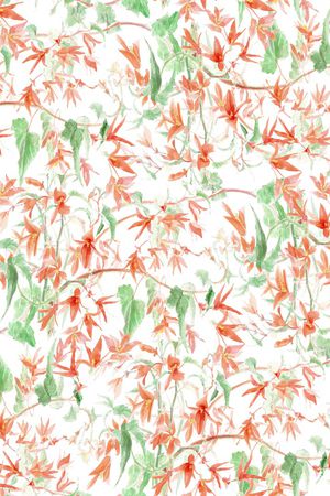 蜜蜂印花华亿平台图片