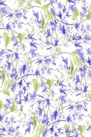 蜜蜂印花华亿平台图片