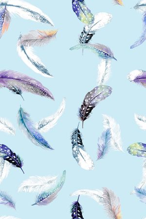 羽毛印花华亿平台图片