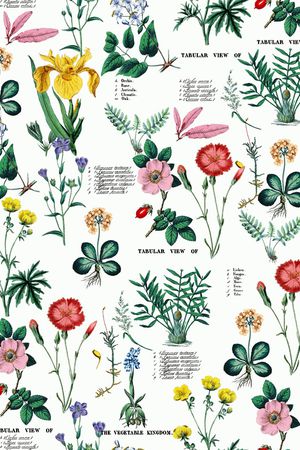 大牌风印花华亿平台图片