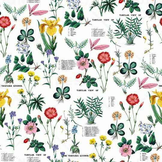 大牌风印花华亿平台图片