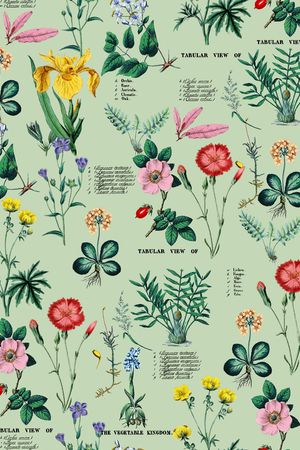 大牌风印花华亿平台图片