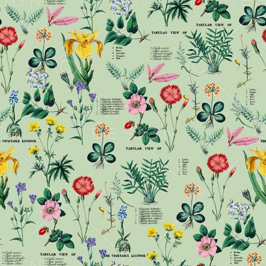 大牌风印花华亿平台图片