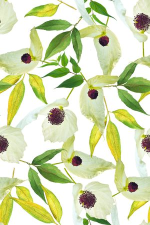 植物印花华亿平台图片