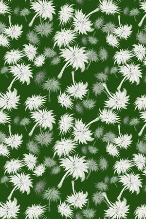 椰子树印花华亿平台图片