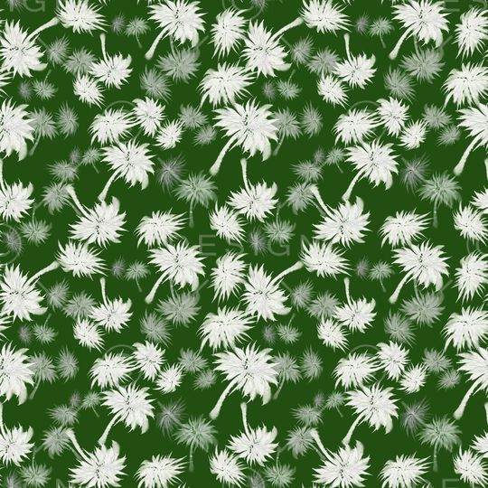 椰子树印花华亿平台图片