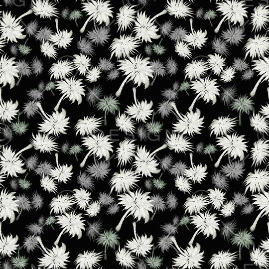 椰子树印花华亿平台图片