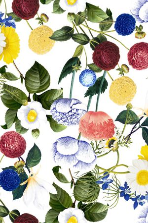 大牌风印花华亿平台图片