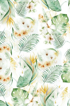 天堂鸟印花华亿平台图片