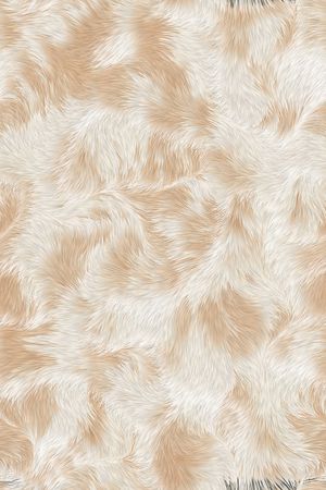 羽绒服印花华亿平台图片