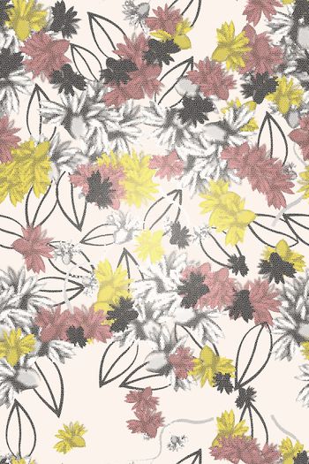 1475182-2021-12-24小野菊