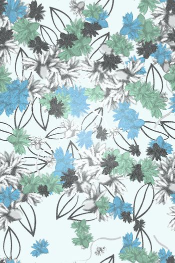 1475183-2021-12-24小野菊-01