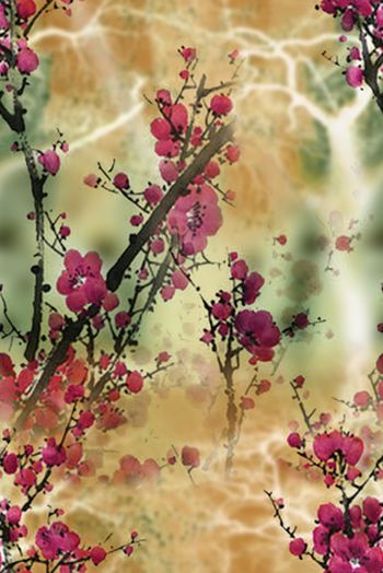 1475196-2021-12-26红梅树影-0