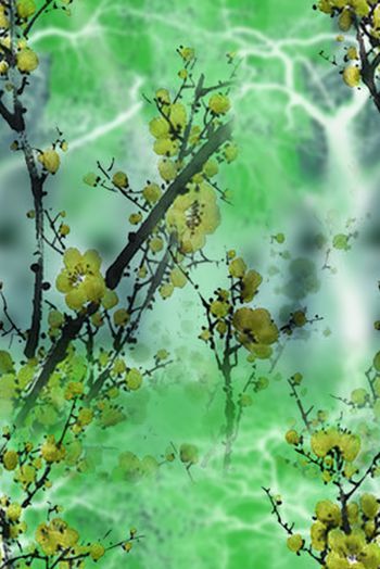 1475197-2021-12-26红梅树影-0