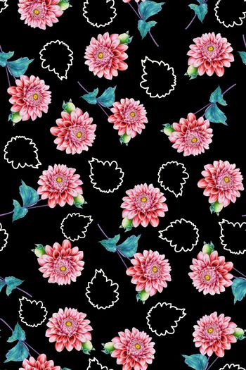 1475225-2022-1-6白玉花