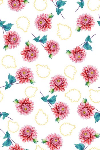 1475226-2022-1-6白玉花-01