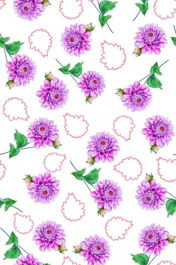 1475227-2022-1-6白玉花-02