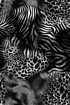 斑马印花华亿平台图片