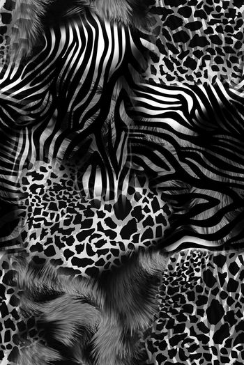 1475229-2022-1-6豹纹