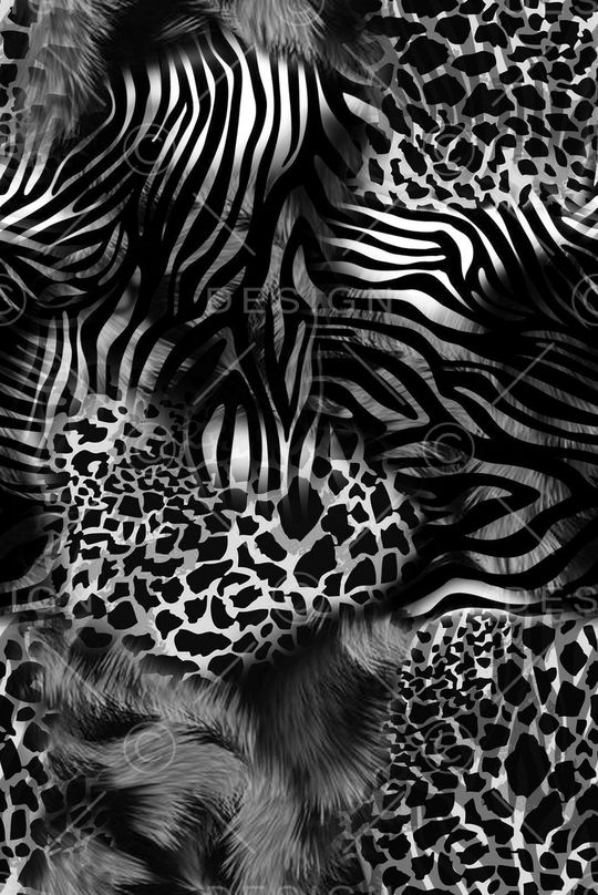 斑马印花华亿平台图片