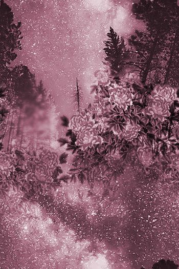 1475234-2022-1-7树+花