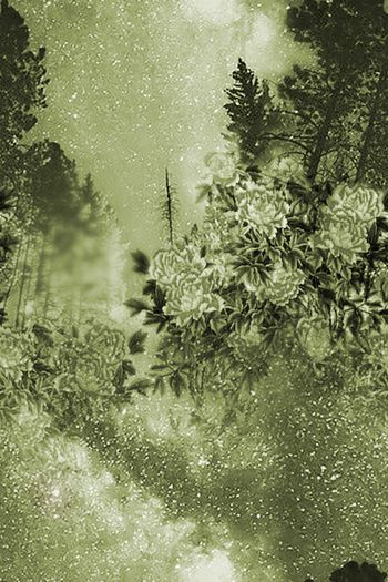 1475236-2022-1-7树+花-02