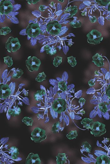 1475244-2022-1-8罂粟花-01