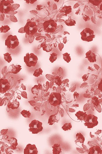 1475245-2022-1-8罂粟花-02