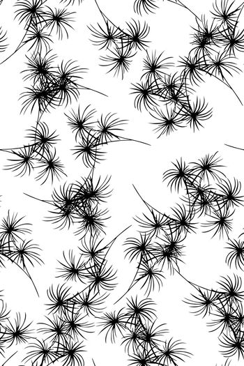 1475254-2022-1-9扇-02