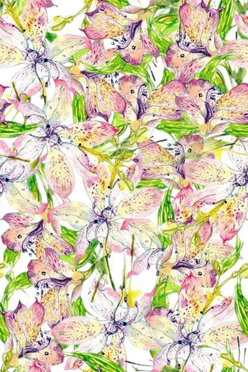 1475261-2022-1-14玉节花