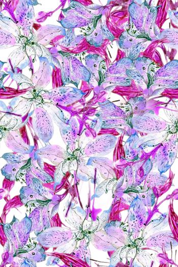 1475262-2022-1-14玉节花-01