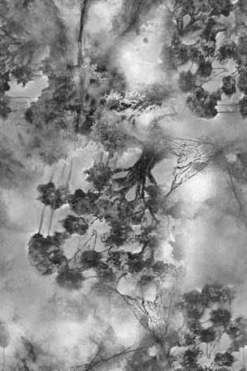 1475270-2022-1-16树-01