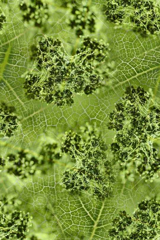 纹理印花华亿平台图片