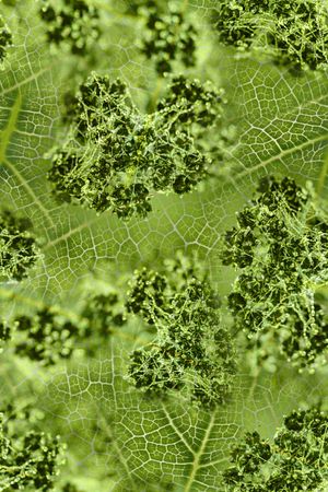 纹理印花华亿平台图片