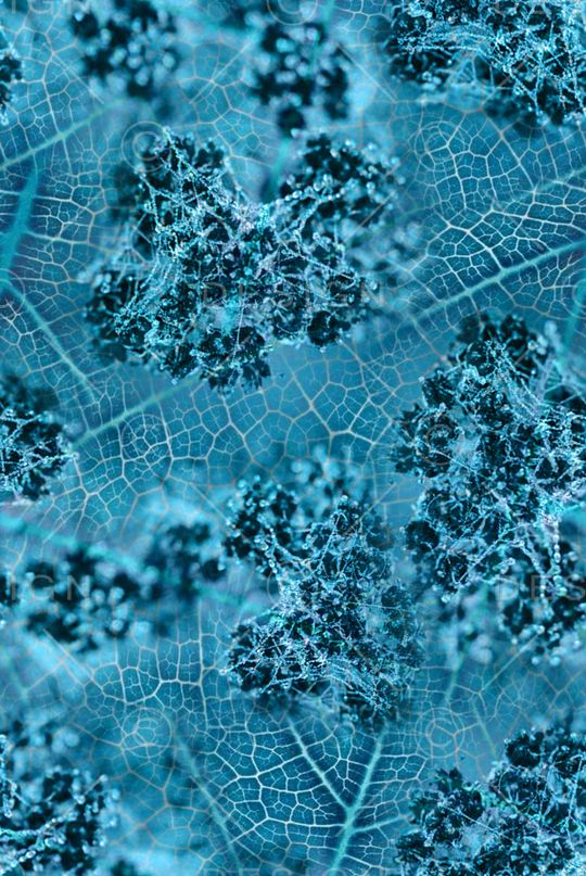 纹理印花华亿平台图片