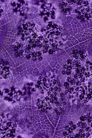 纹理印花华亿平台图片