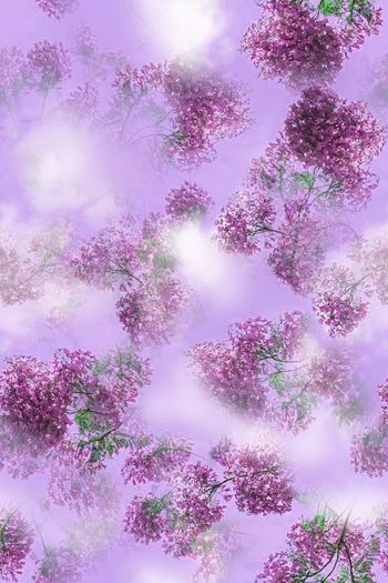 1475291-22022-1-21-01