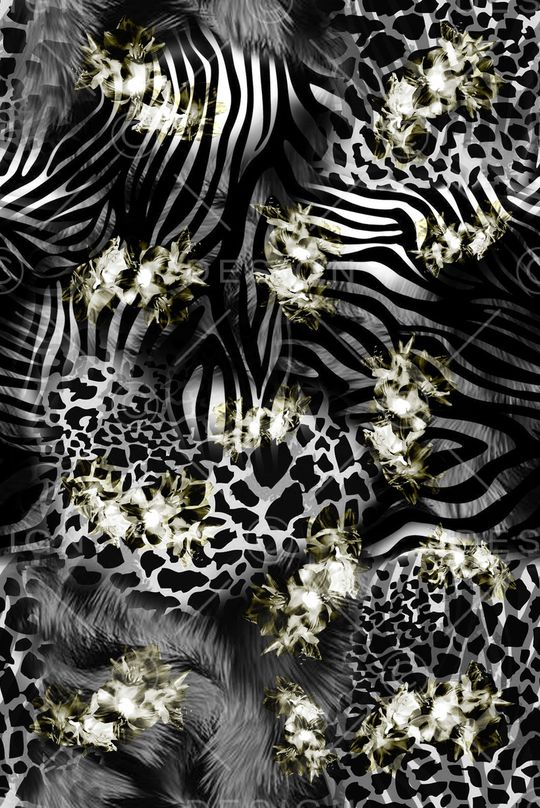 斑马印花华亿平台图片