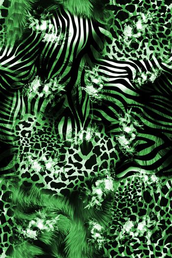 1475304-2022-1-6豹纹花-01