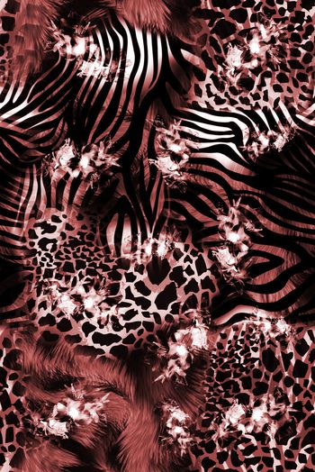 1475305-2022-1-6豹纹花-02