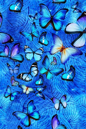 春夏华亿平台印花华亿平台图片