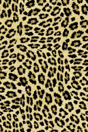 豹纹印花华亿平台图片