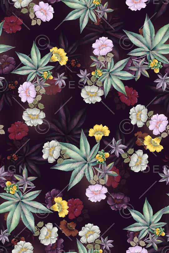 黑底花卉印花华亿平台图片