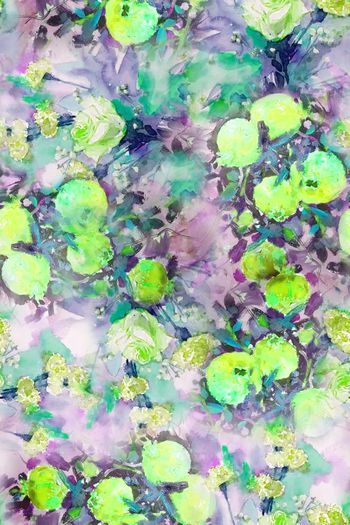 1475502-2022-2-12石榴月季-01